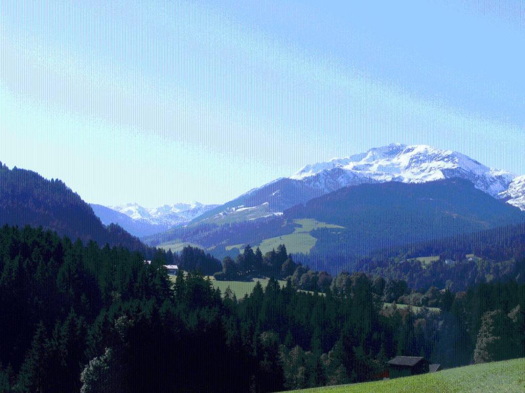Landgasthof Dorferwirt